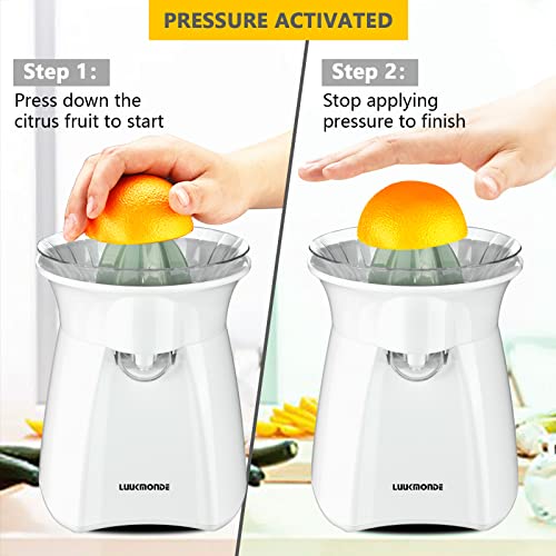 Electric Citrus Juicer Grapefruit Squeezer Orange Juicer Lemon Squeezer Pulp Control Motorized Citrus Press Z6101
