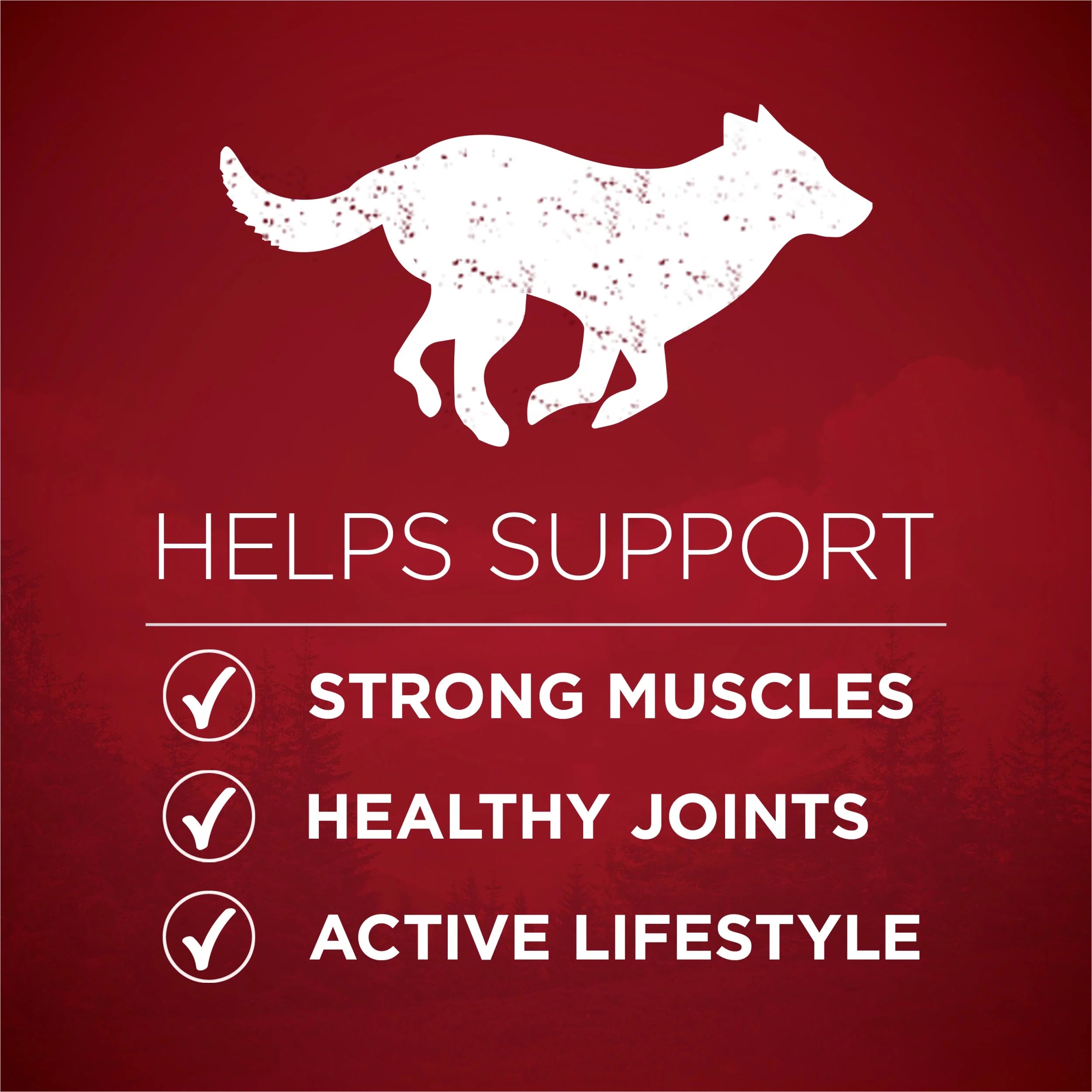 Natural High Protein Dog Food with Real Beef and Salmon and Bone Broth P112