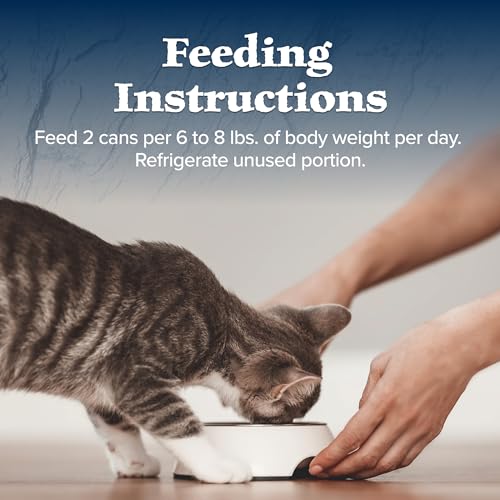 Salmon Paté Wet Cat Food, 3-oz. Cans, 24 Count U2945