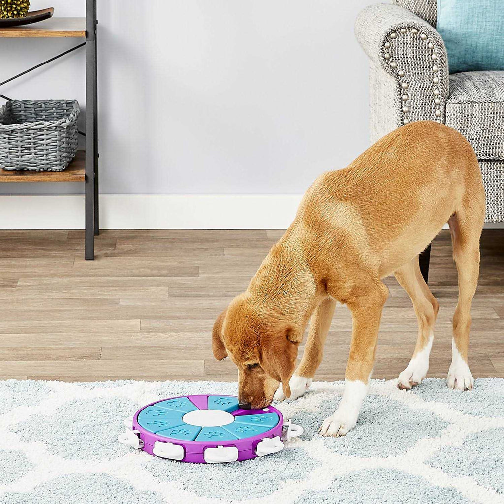 Twister Puzzle Dog Toy Z520