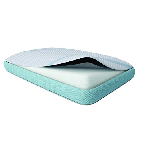 Queen White Memory Foam Pillow M899037