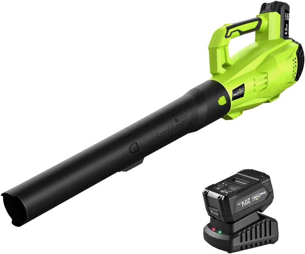 20V MAX Cordless Leaf Blower with 4.0Ah Battery & Charger R40930
