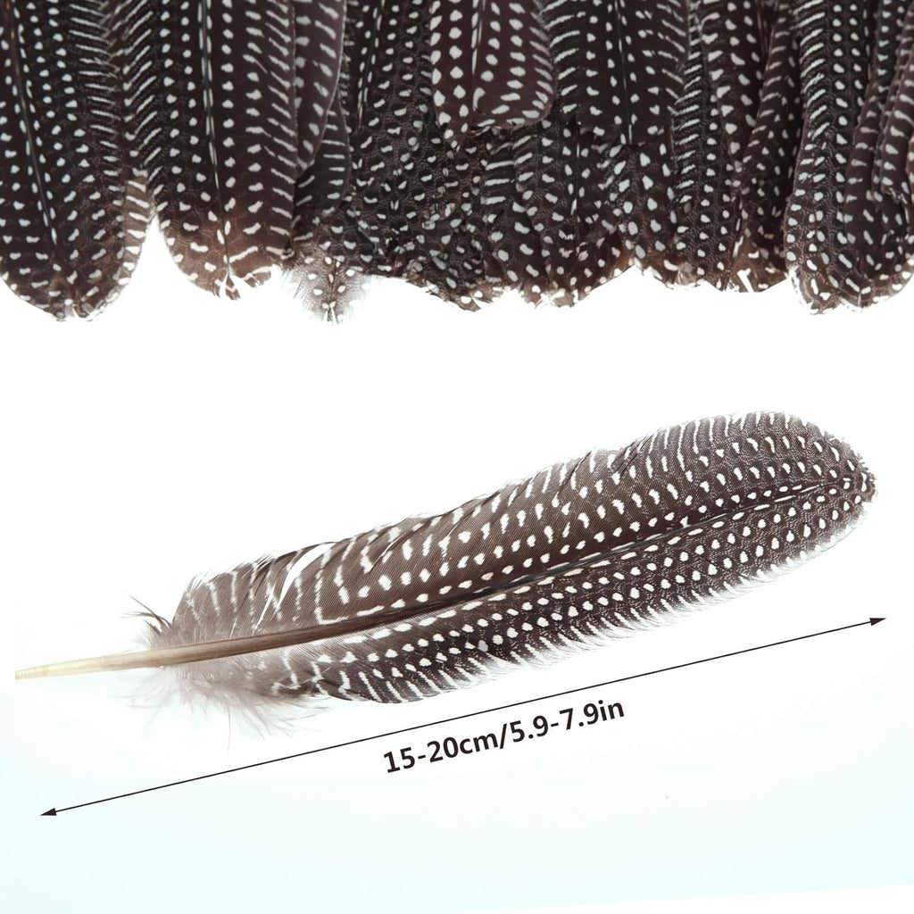 50 Pcs 15-20cm Natural Spotted Pheasant Feathers I391998