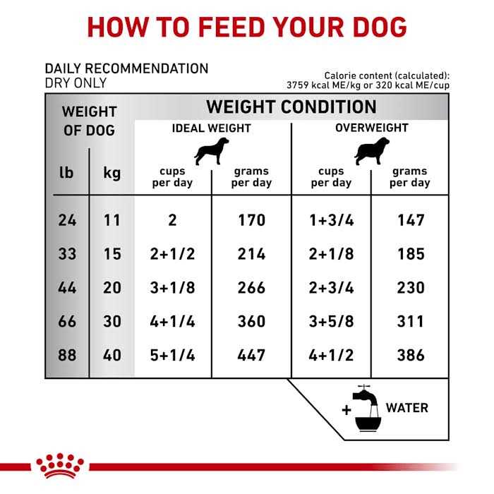 Veterinary Diet Canine Dental Medium & Large Breed Dry Dog Food L874225