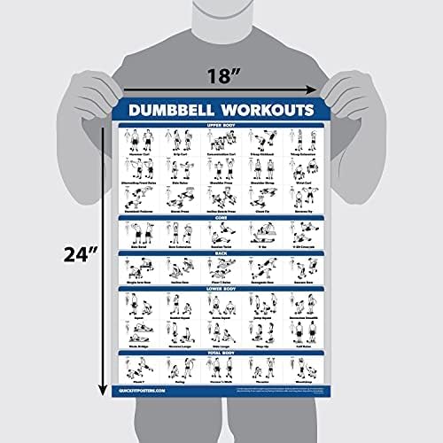LAMINATED 18" x 24" Dumbbell Workout Poster J379