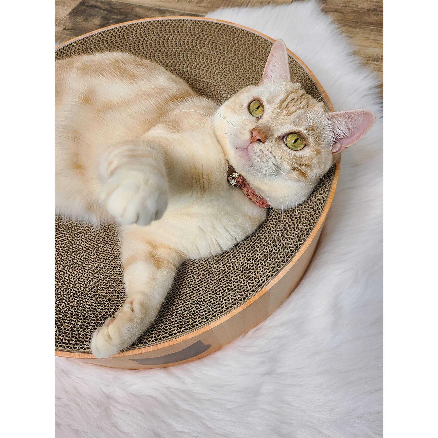 Cozy Cat Scratcher Bowl C624690