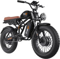 Dual Motor Dual Battery 2000W 48V 40Ah 55Ah 20"x4.0" Fat Tire Electric Bike V9230