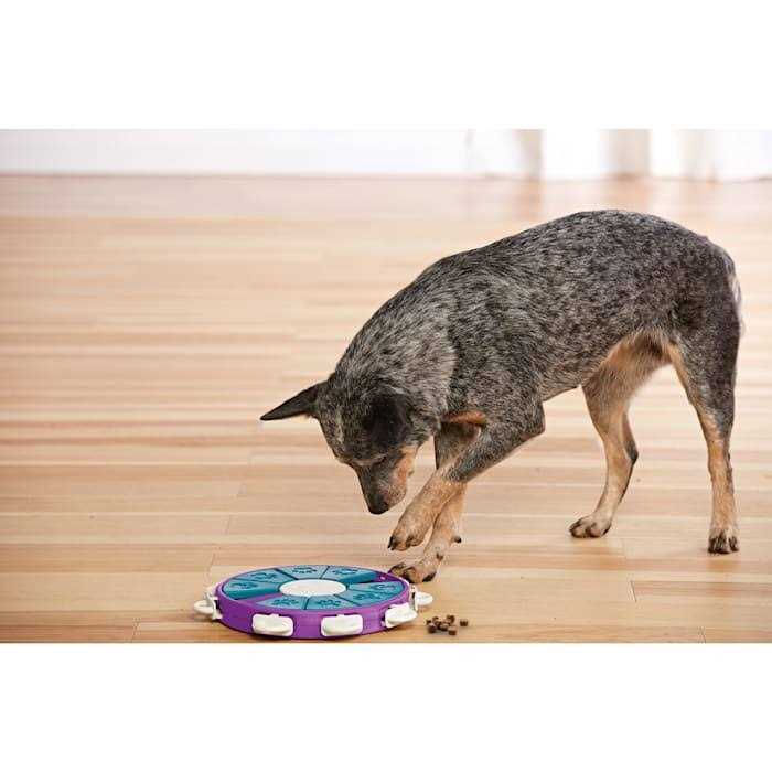 Twister Puzzle Dog Toy Z520