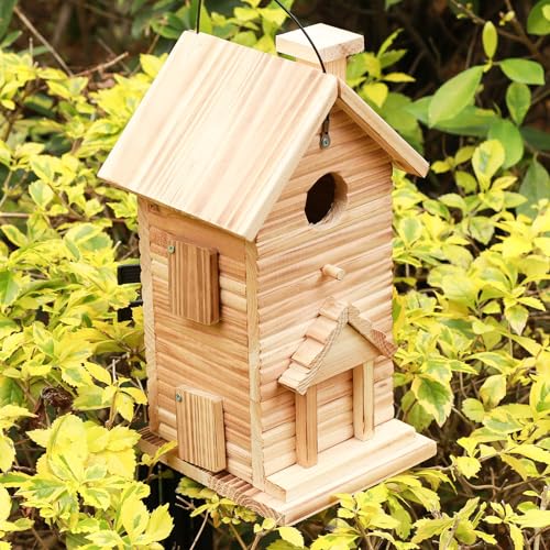 2 Hole Wooden Bird House O45255
