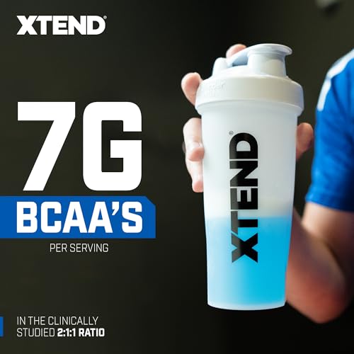 Blue Raspberry Ice BCAA Powder with Electrolytes - 30 Servings L2484