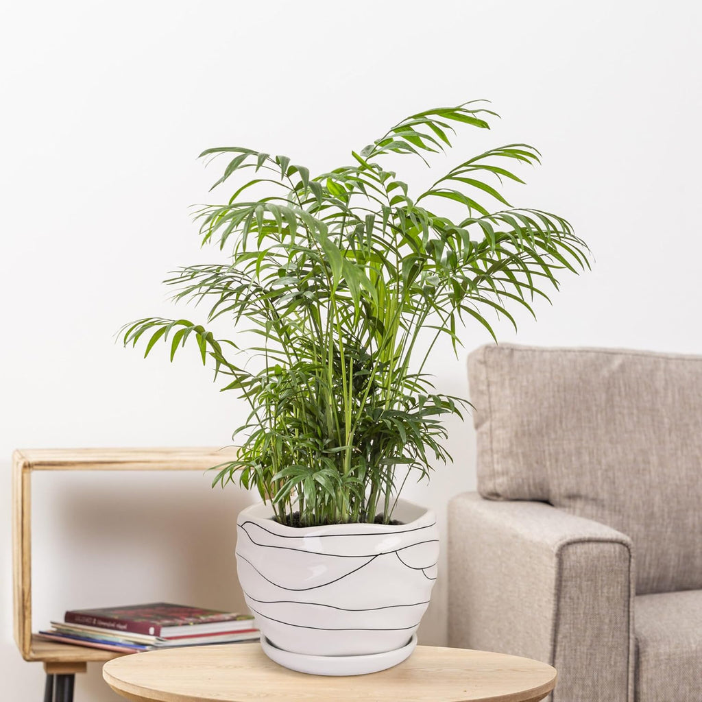 White Ceramic Planter Set, 3 Sizes S549