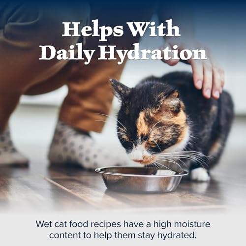 Salmon Paté Wet Cat Food, 3-oz. Cans, 24 Count U2945