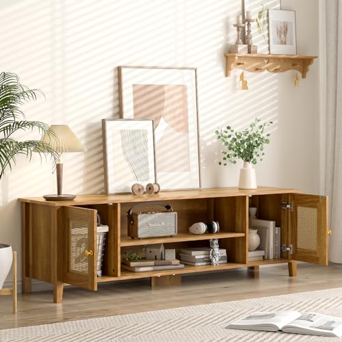 Rattan TV Stand with Storage N9410