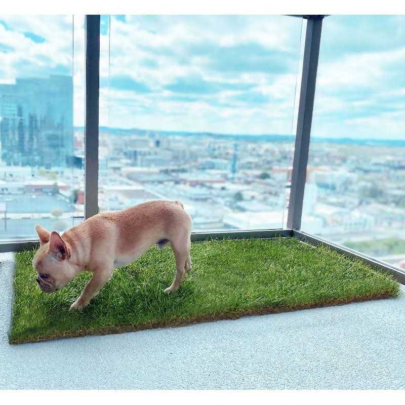 Real Grass Dog Potty R671517