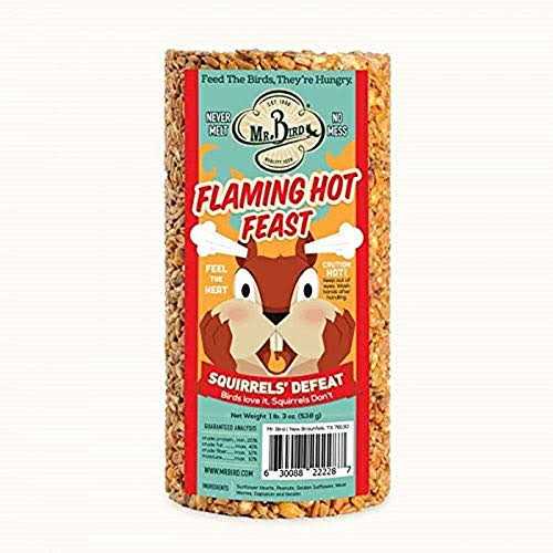 Flaming Hot Feast Small Cylinder Pet Supplies B12943