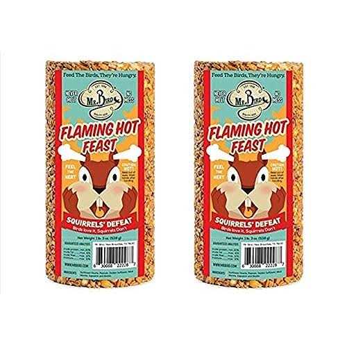 Flaming Hot Feast Small Cylinder Pet Supplies B12943