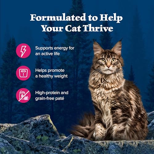 Salmon Paté Wet Cat Food, 3-oz. Cans, 24 Count U2945