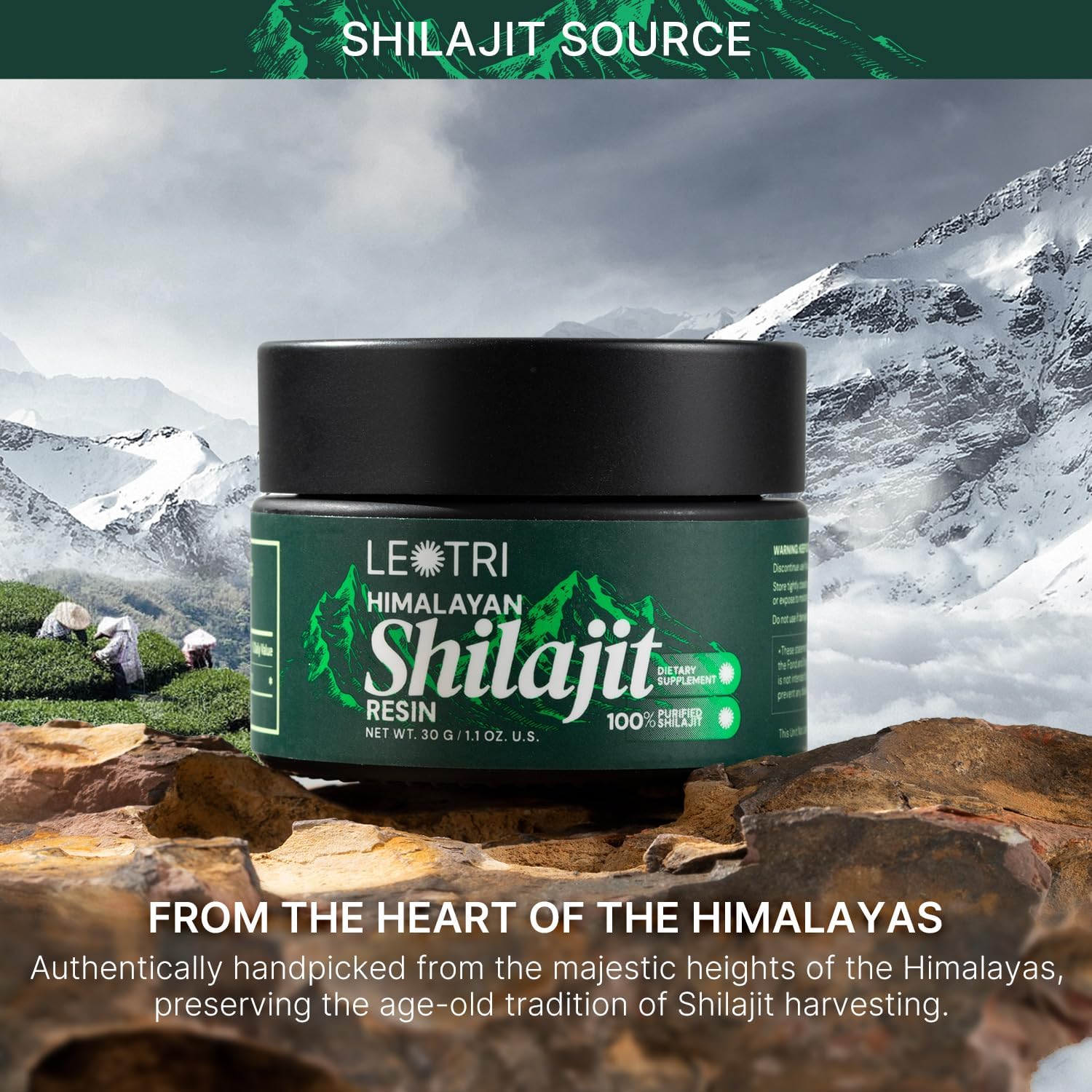 1.1 OZ Shilajit Resin D860