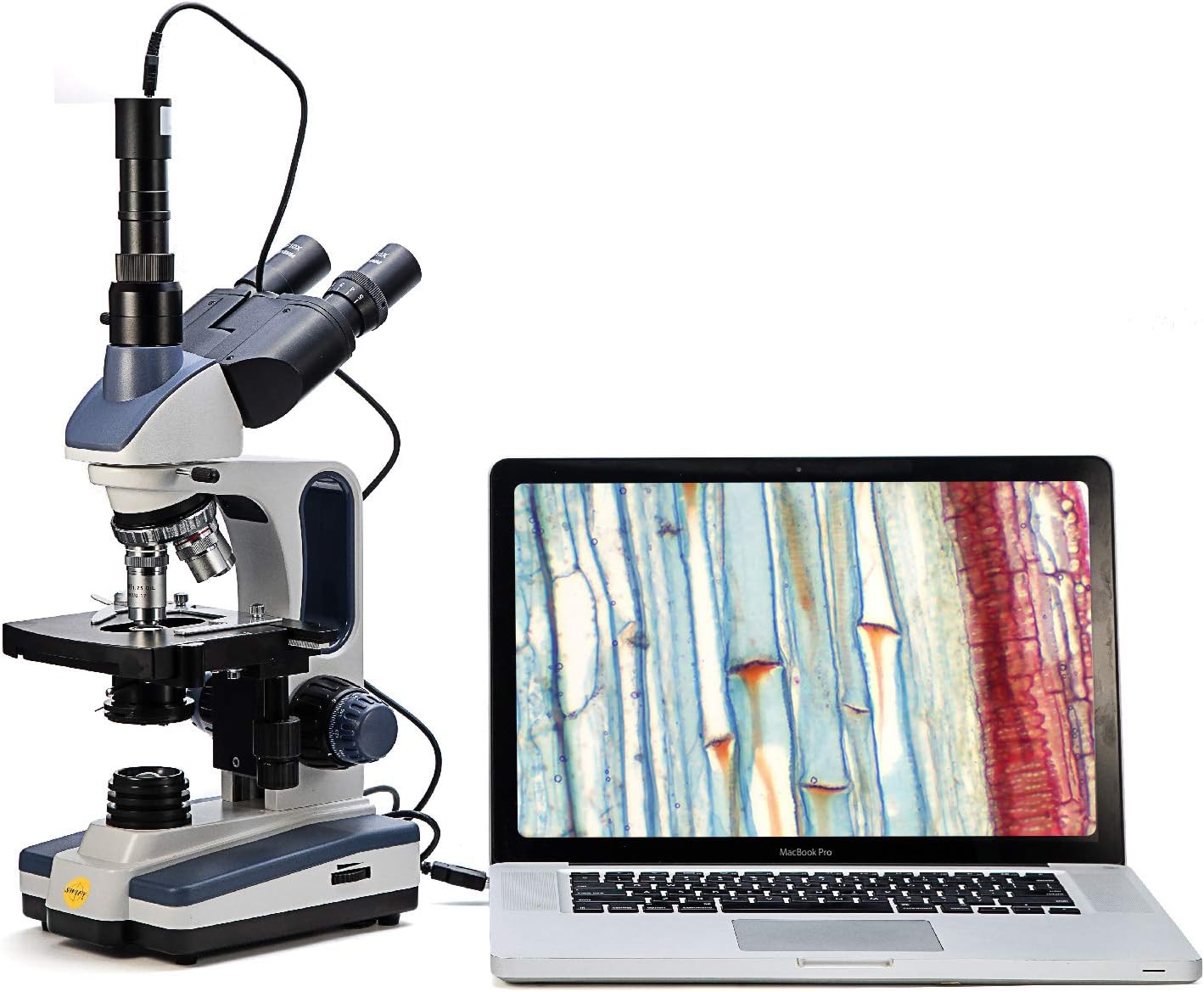 Trinocular Compound Microscope, 40X-2500X Magnification, Siedentopf Head, Two-Layer Mechanical Stage, 1.3mp Camera K626