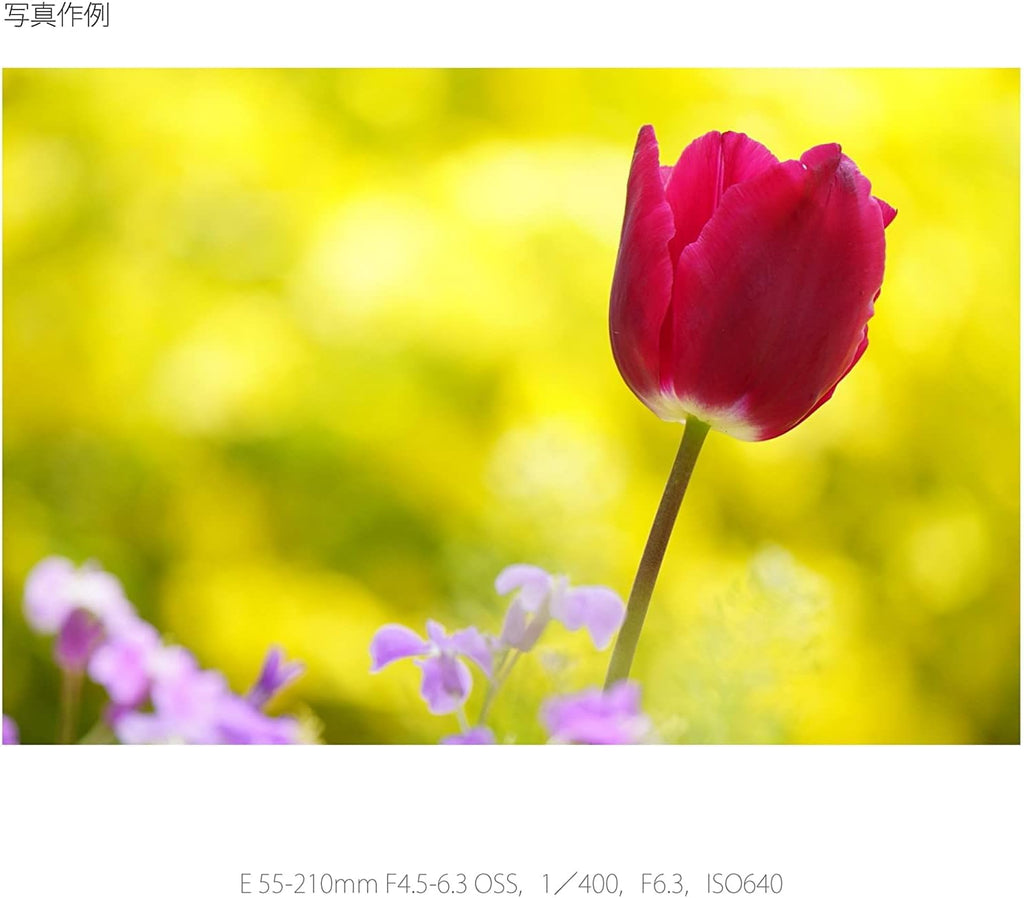 E 55-210mm F4.5-6.3 Lens Black Z1743