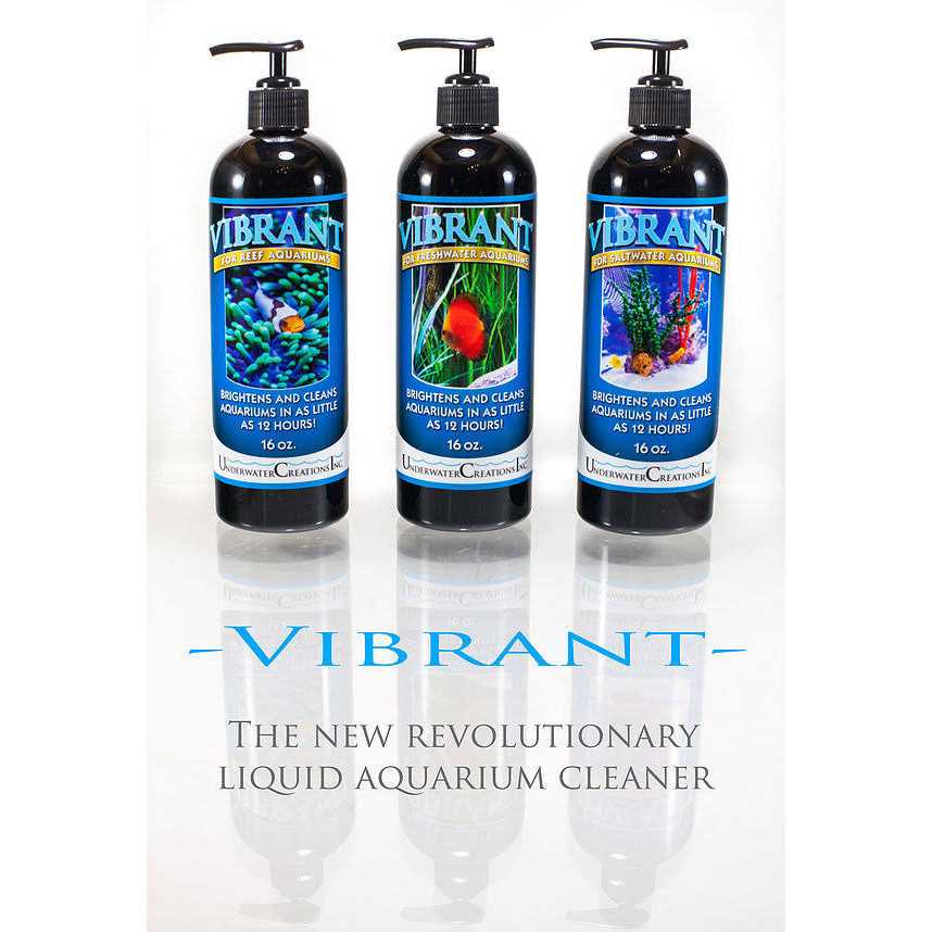 Vibrant For Saltwater Aquariums Y34566