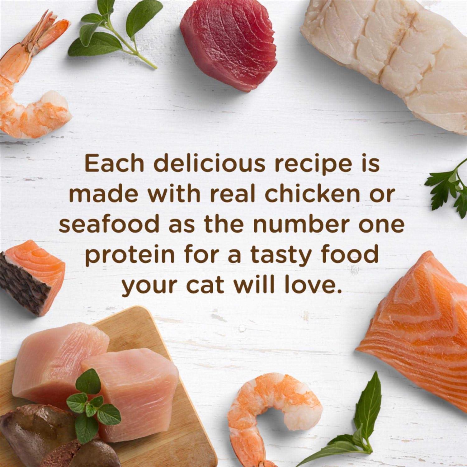 Chicken Purrcata Natural Grain-Free Wet Cat Food M739