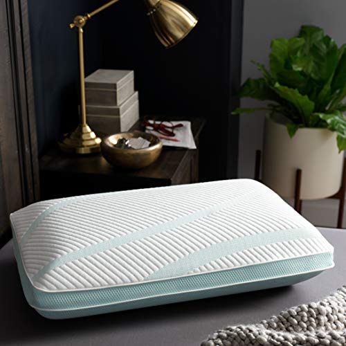 Queen White Memory Foam Pillow M899037