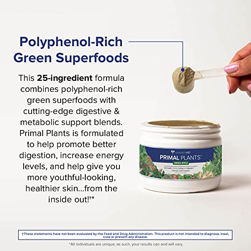Polyphenol-Rich Greens Powder Superfood Supplement, Green Apple Flavor, 30 Servings R378080