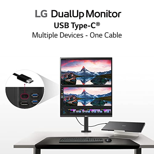 DualUp Monitor V8597