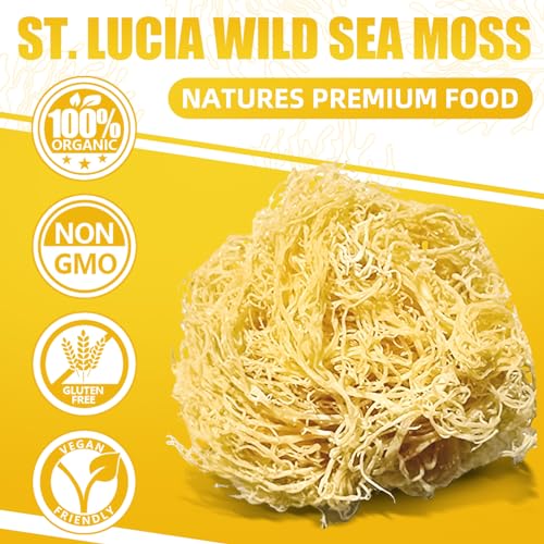 12 OZ Organic Sea Moss Gel Strawberry Banana Flavor I3685