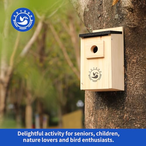 2 Pack Bird Houses N944