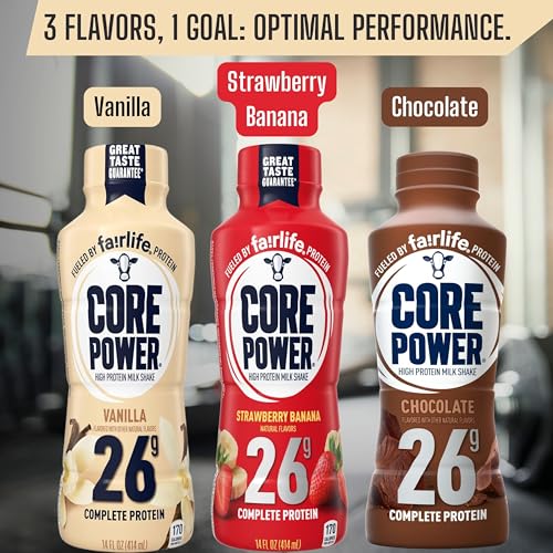 Chocolate Protein Milk Shakes, 14 Fl Oz (Pack of 12) and Key Chain B1668