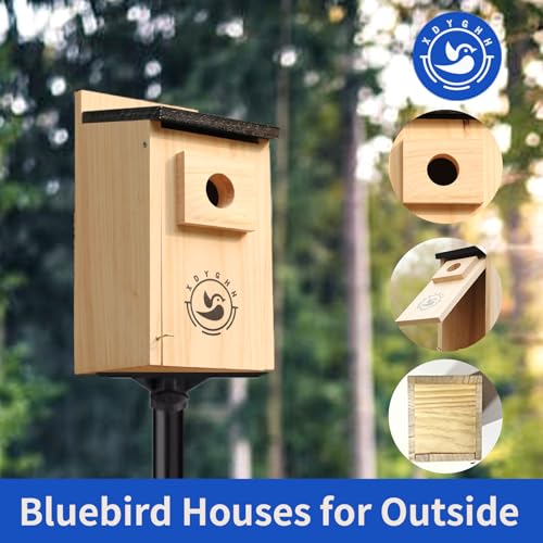 2 Pack Bird Houses N944