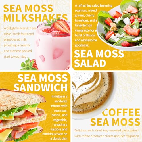 12 OZ Organic Sea Moss Gel Strawberry Banana Flavor I3685