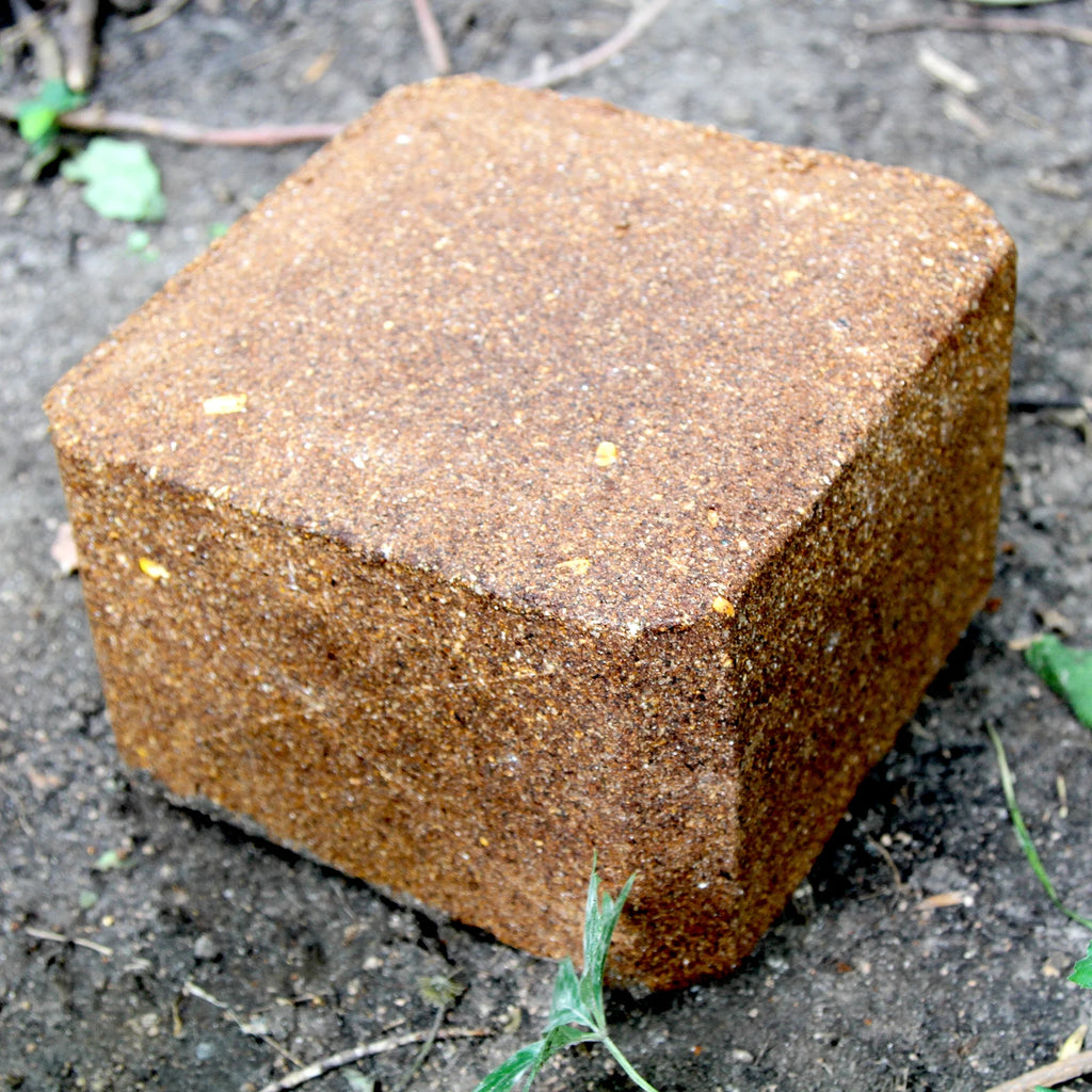 Persimmon 20 lb Block N4808