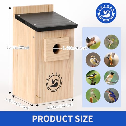 2 Pack Bird Houses N944