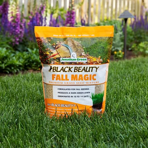 Black Beauty Fall Magic Grass Seed - Cool Season Lawn Seed (3 lb) Q8285