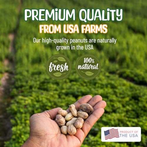 Raw Peanuts in Shell - 5 Pounds T582221
