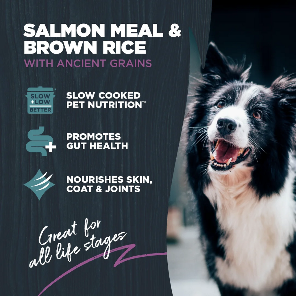 Blackwood Dry Dog Food Sensitive Skin & Stomach Salmon Meal with Ancient Grains 10 lb. A7783