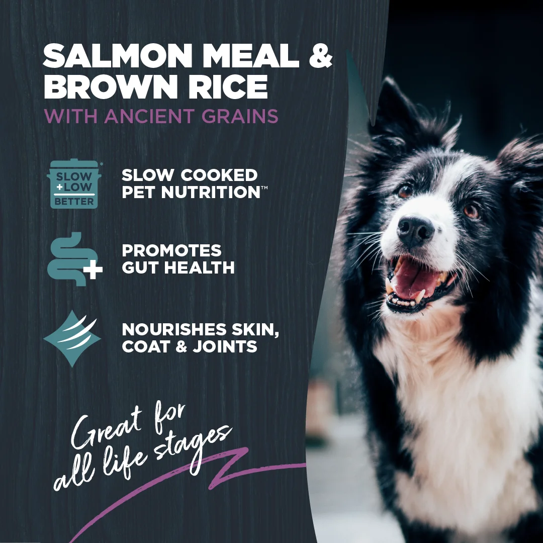 Blackwood Dry Dog Food Sensitive Skin & Stomach Salmon Meal with Ancient Grains 10 lb. A7783