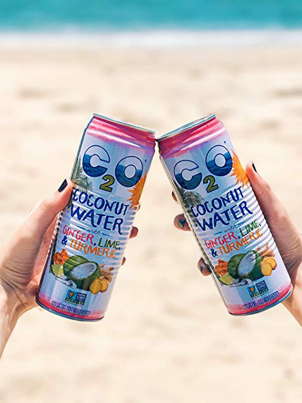 Pure Coconut Water with Ginger, Lime & Turmeric, 17.5 FL OZ (Pack of 12) S627988
