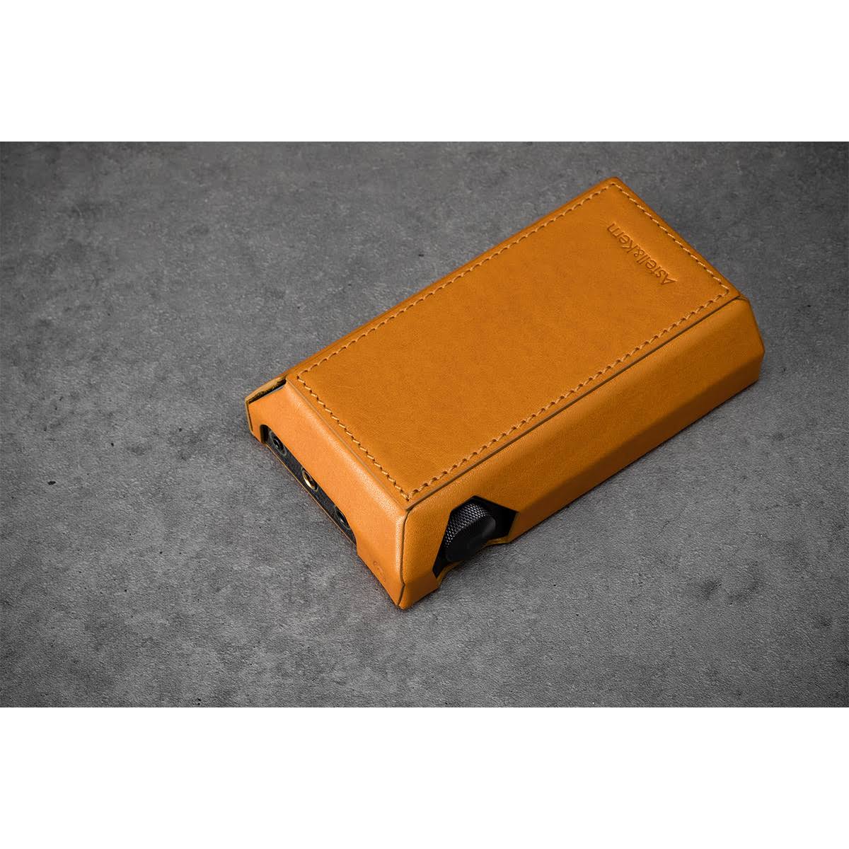 Brown Leather Case D99433