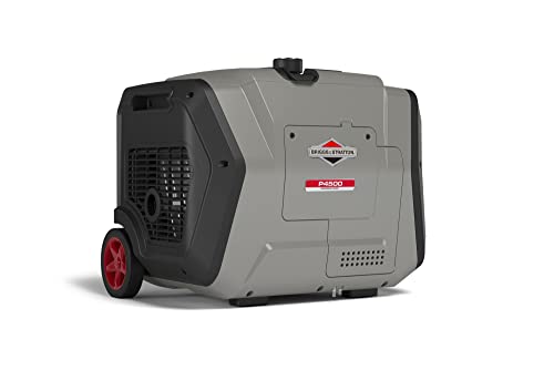 6500 Starting Watts Inverter Generator Z2355