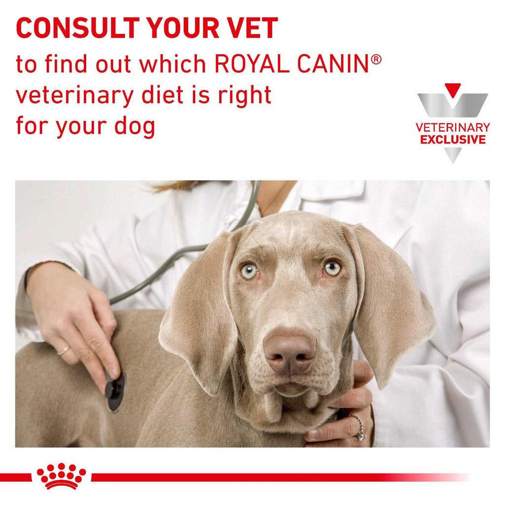 Veterinary Diet Canine Dental Medium & Large Breed Dry Dog Food L874225