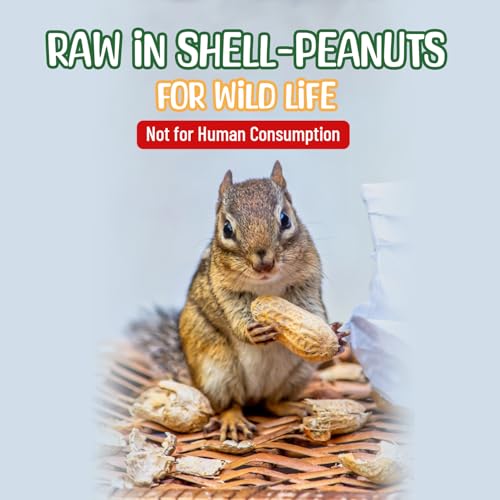 Raw Peanuts in Shell - 5 Pounds T582221
