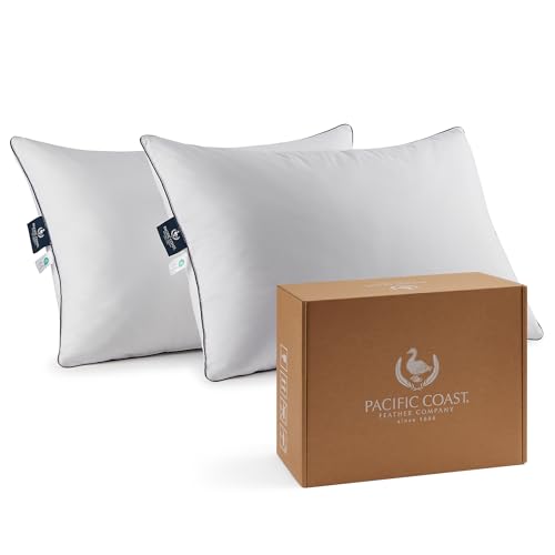 King Size 2 Pack Feather and Down Pillows A3639