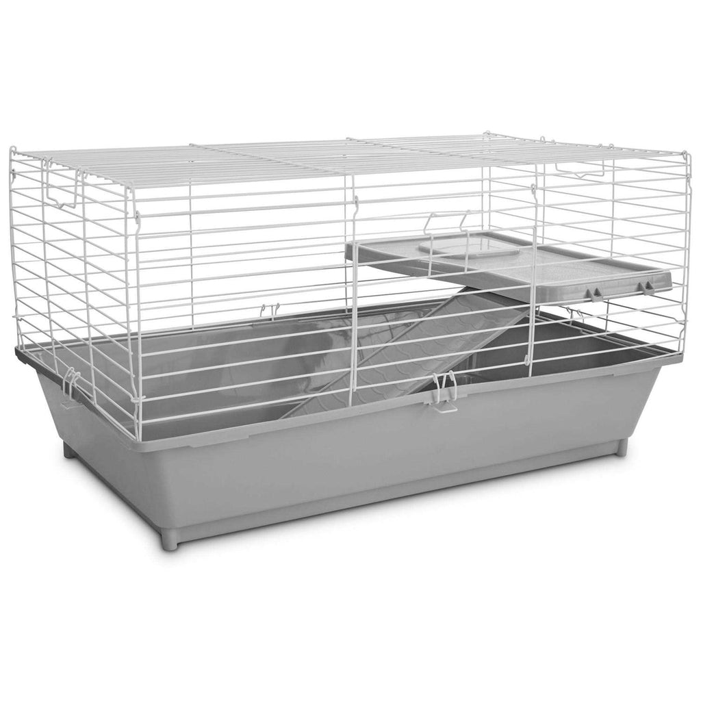 Guinea Pig Starter Kit Y887428