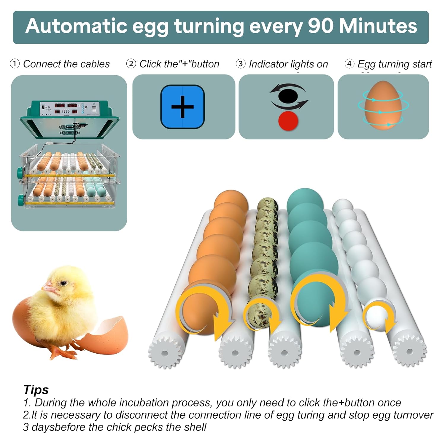 120 Eggs Incubator with Automatic Egg Turning and Humidity Monitoring P77176