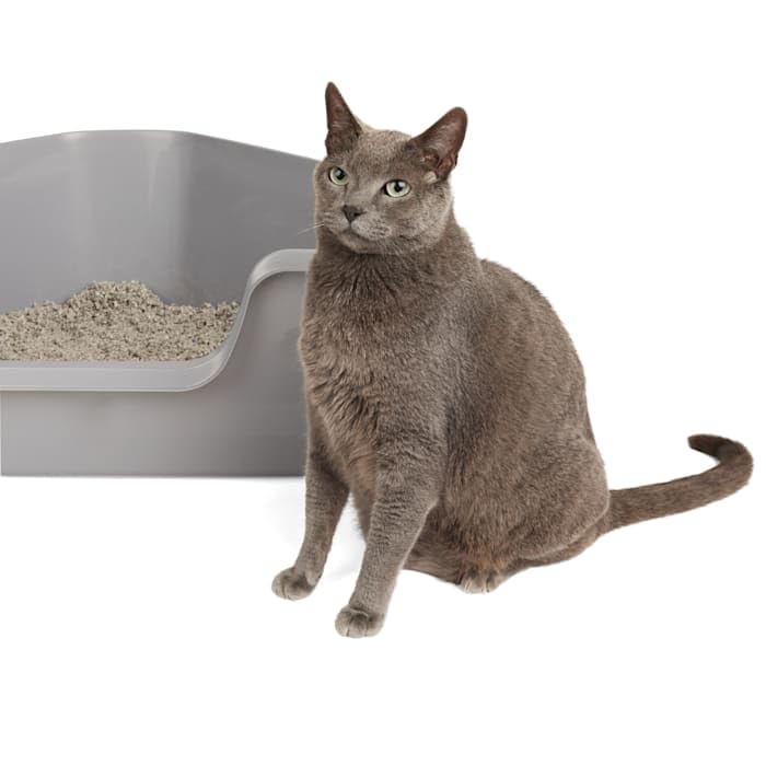 Grey High-Back Corner Litter Box E296