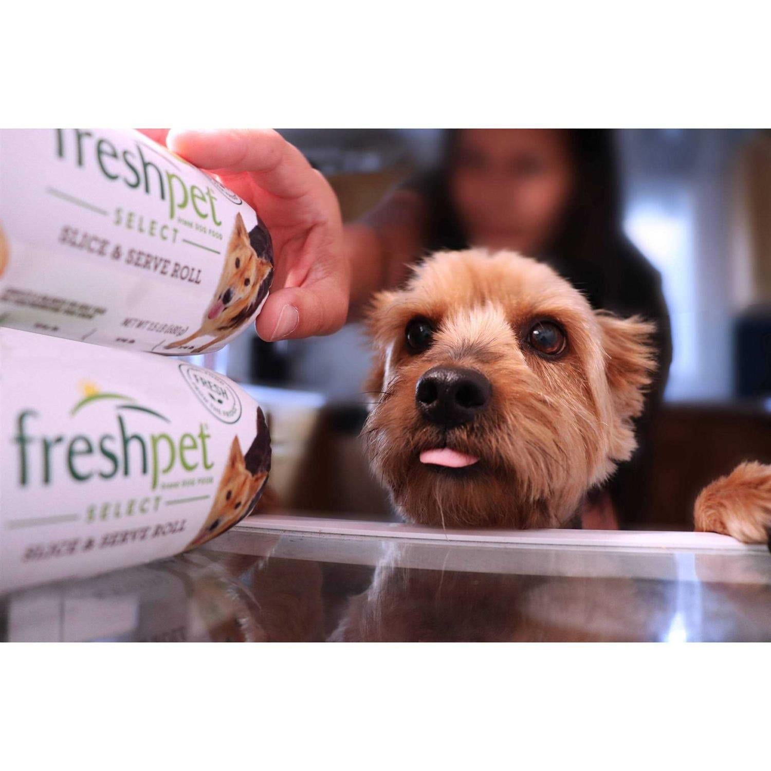 Grain Free Wild Alaskan Pollock & Atlantic Salmon Recipe Dog Food J620769